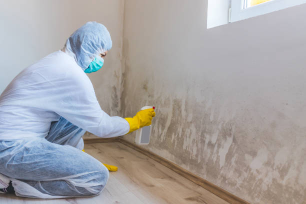 Crawl Space Mold Remediation treatment of floor joists in West Milton